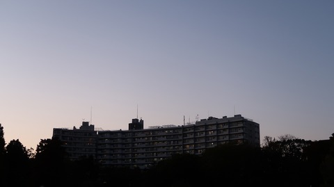 20201114170353_IMG_8863