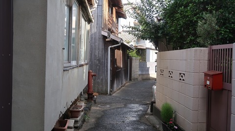 20220702164906_IMG_4932