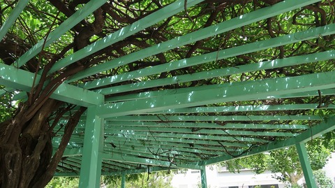 20220812135443_IMG_5678