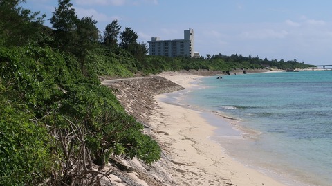 20221120144752_IMG_6914