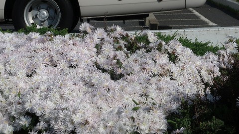 20210514160738_IMG_1505