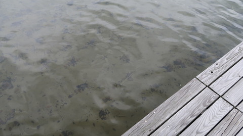 20190713131616_IMG_2847