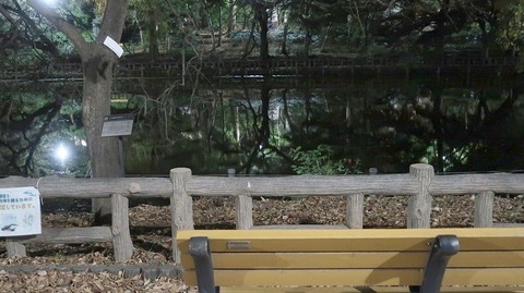 20201114175340_IMG_8871