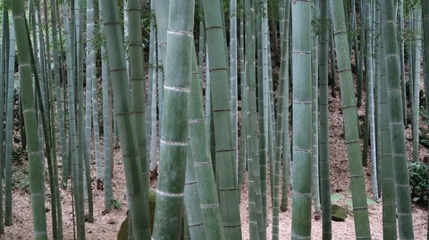 ScreenShot Tool -20250911222124_result_