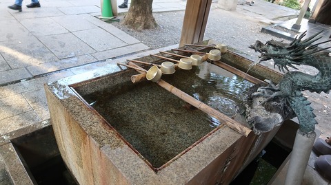 20221030151118_IMG_6808