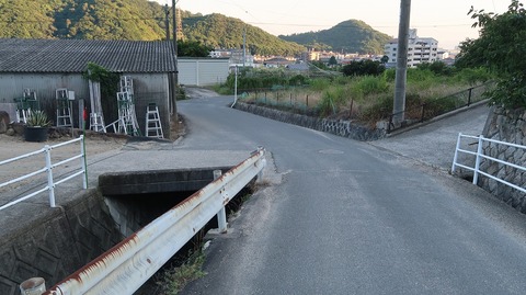 20220701190356_IMG_4800