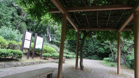 20220611180341_IMG_4621