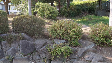 20190413154134_IMG_1914