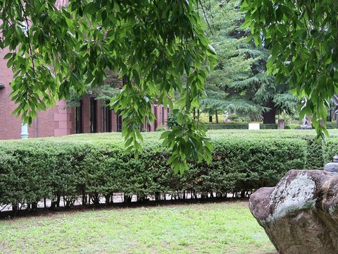 20190714145234_IMG_2925