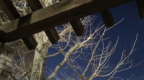 20190321185042_IMG_1218