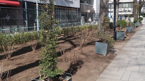 20210223134442_IMG_0662