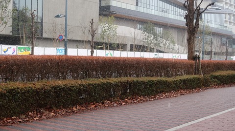 20200118130450_IMG_5273