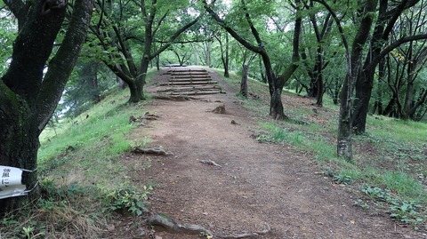 20190714161054_IMG_2951