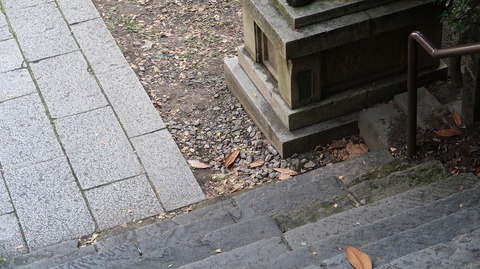 20221030144547_IMG_6799