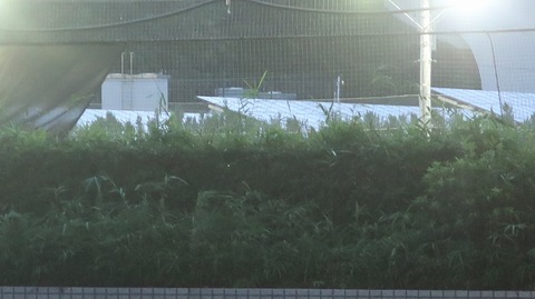 20200726190650_IMG_6843