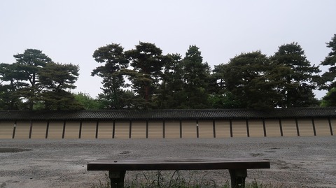 20220501114445_IMG_3737