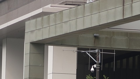 20230610165135_IMG_8488