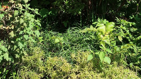 20201025141151_IMG_8707