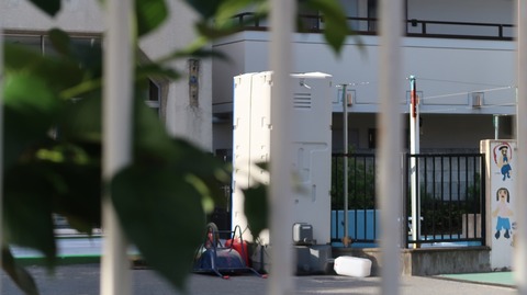 20220730165832_IMG_5271