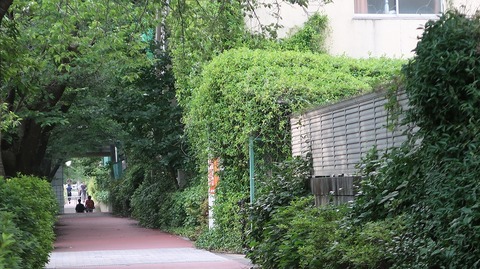 20230610170805_IMG_8500