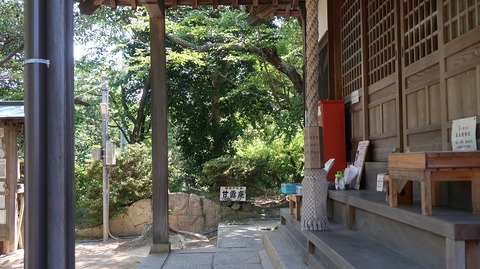 20220701143115_IMG_4753