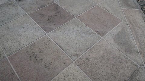 20201004143324_IMG_8418