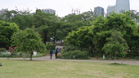 20220508173646_IMG_4179