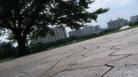 20220807153332_IMG_5432