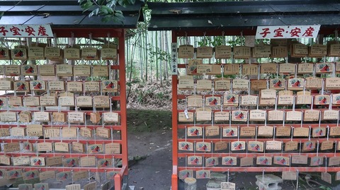 20200808102518_IMG_7072