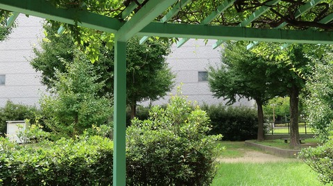 20220812135540_IMG_5680