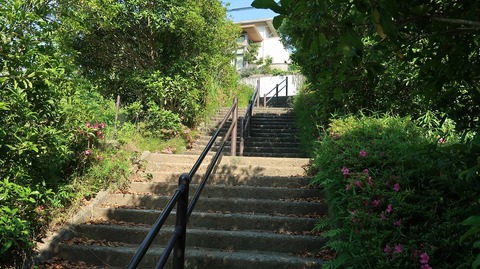 20190525155351_IMG_2468