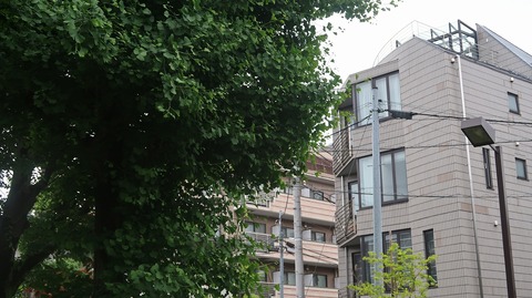 20230513172959_IMG_8304