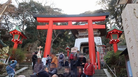 20190223134811_IMG_1045