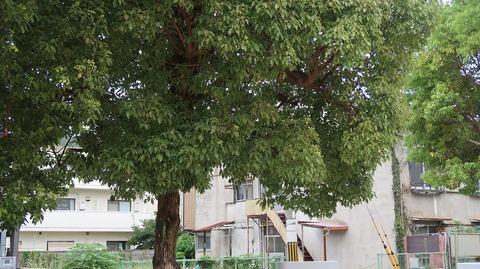 20220813084805_IMG_5759