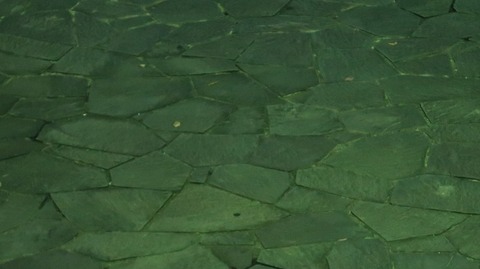 20220828194854_IMG_6095