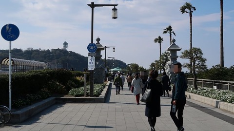 20190223103912_IMG_0974