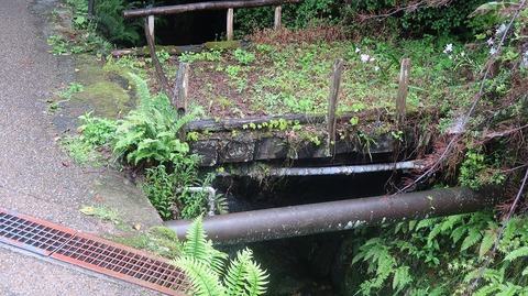 20220501132825_IMG_3754