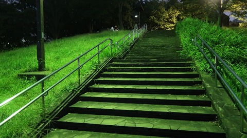 20220828194743_IMG_6096