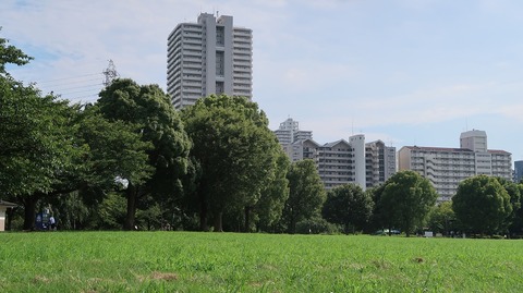 20220807152923_IMG_5427