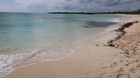 20221118132813_IMG_6890