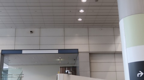 20231029093541_IMG_0235