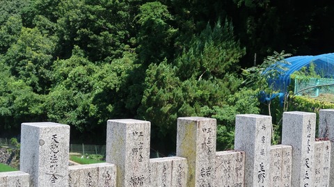 20220702104422_IMG_4824