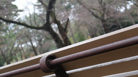 20211031161708_IMG_2298