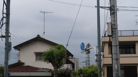 20220515162612_IMG_4261