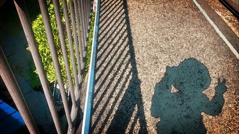 20200921122724_IMG_8146_