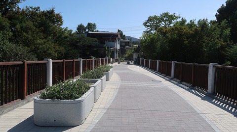 20231007102231_IMG_9572