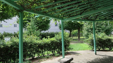 20220812135300_IMG_5676