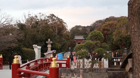 20190223172040_IMG_1115