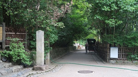 20200808100624_IMG_7053