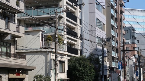 20210213113206_IMG_0384